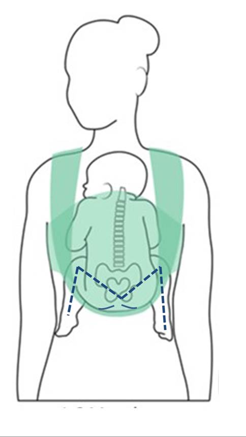 Diagram of infant being worn with legs in the M position facing caregiver
